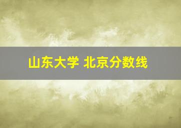 山东大学 北京分数线